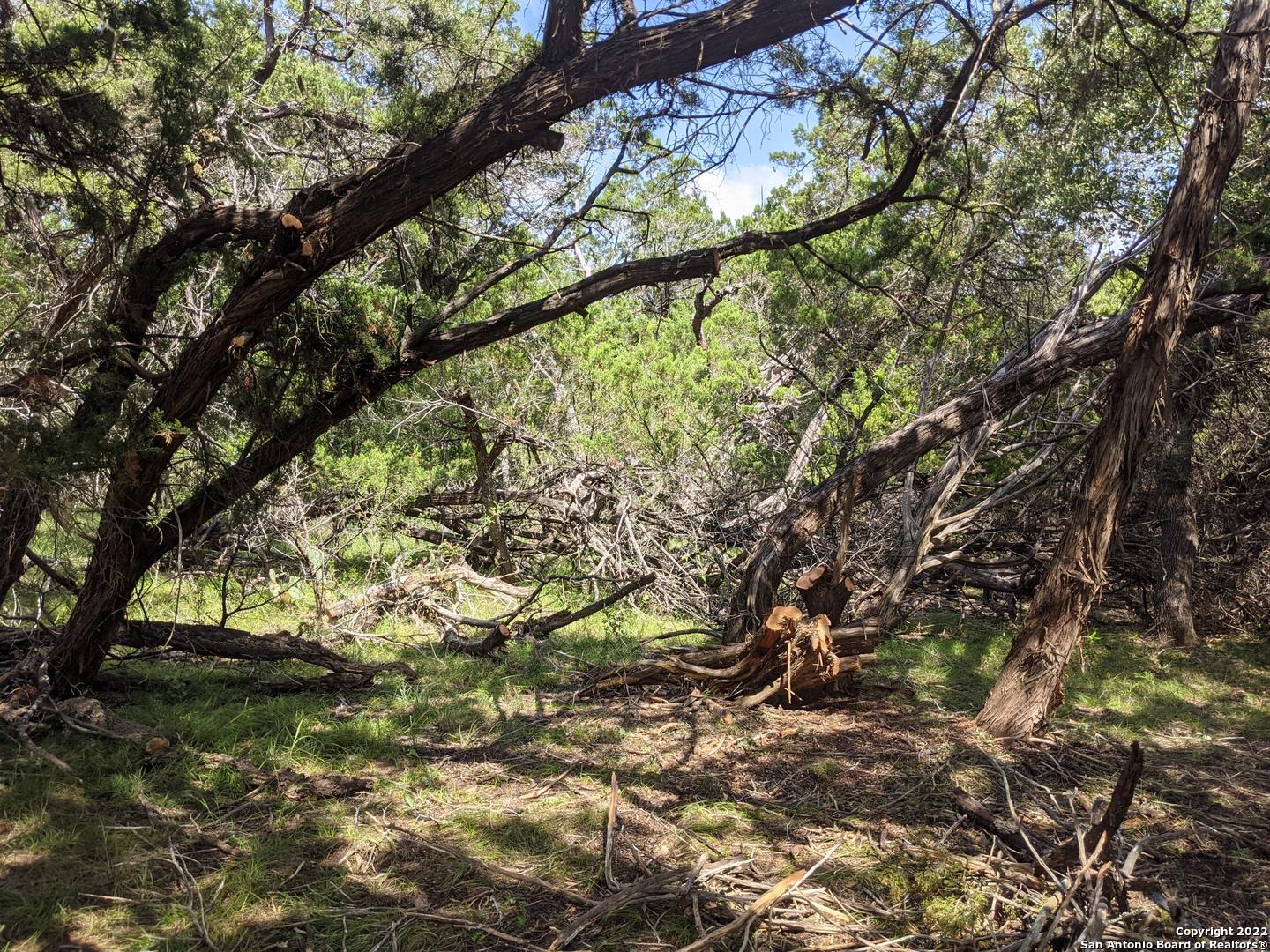 Lot 52 Clearwater Canyon Road Bandera TX 78003