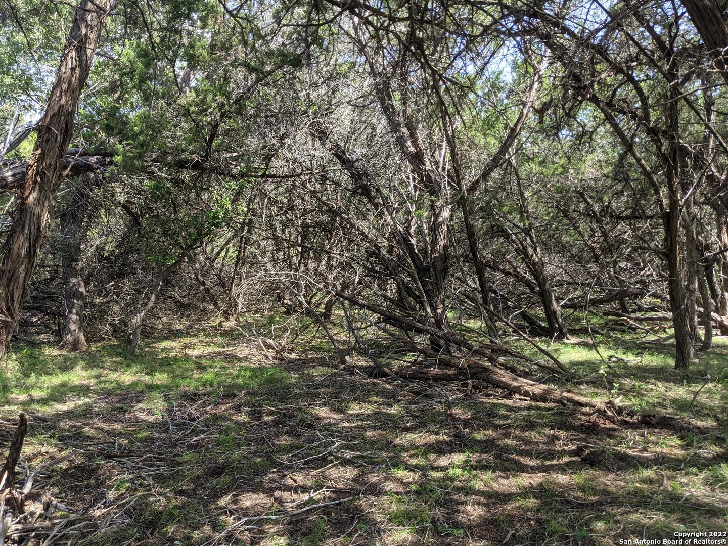 Lot 52 Clearwater Canyon Road Bandera TX 78003