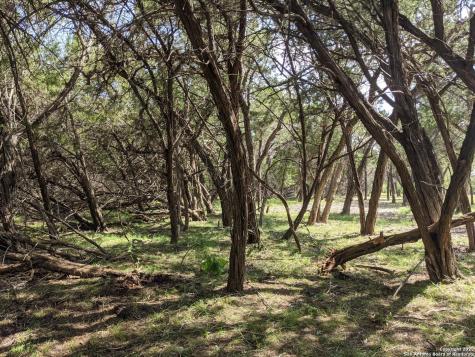 Lot 52 Clearwater Canyon Road Bandera TX 78003