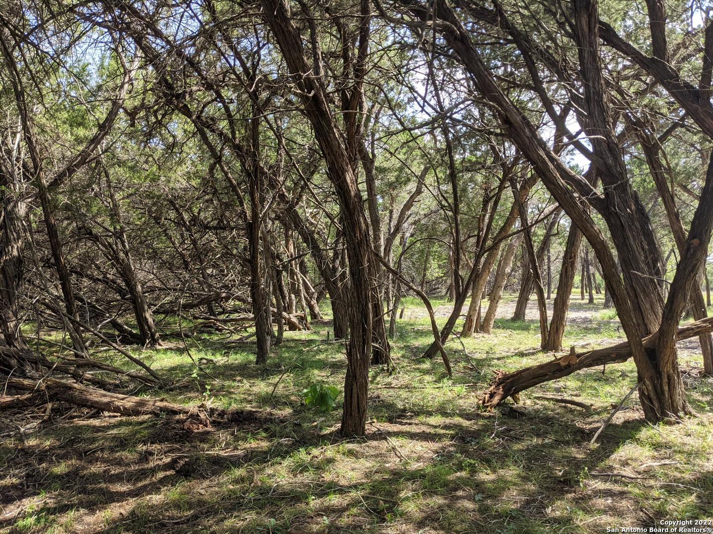 Lot 52 Clearwater Canyon Road Bandera TX 78003