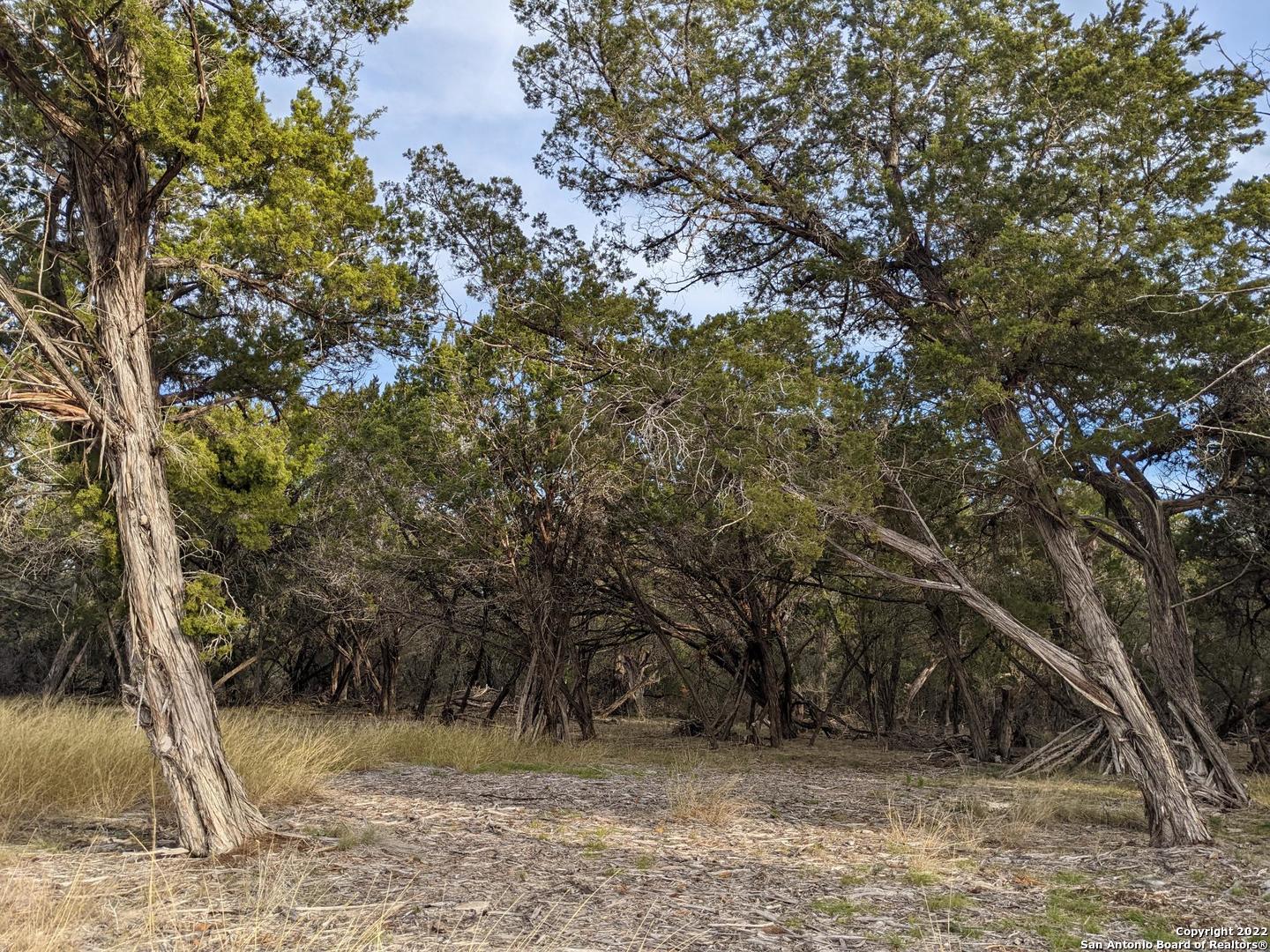 Lot 52 Clearwater Canyon Road Bandera TX 78003