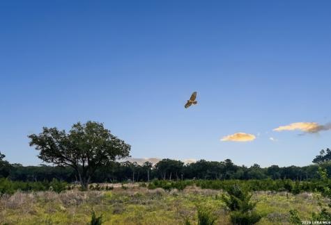 Lot 52 Clearwater Canyon Road Bandera TX 78003