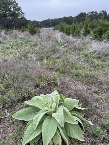 Lot 52 Clearwater Canyon Road Bandera TX 78003