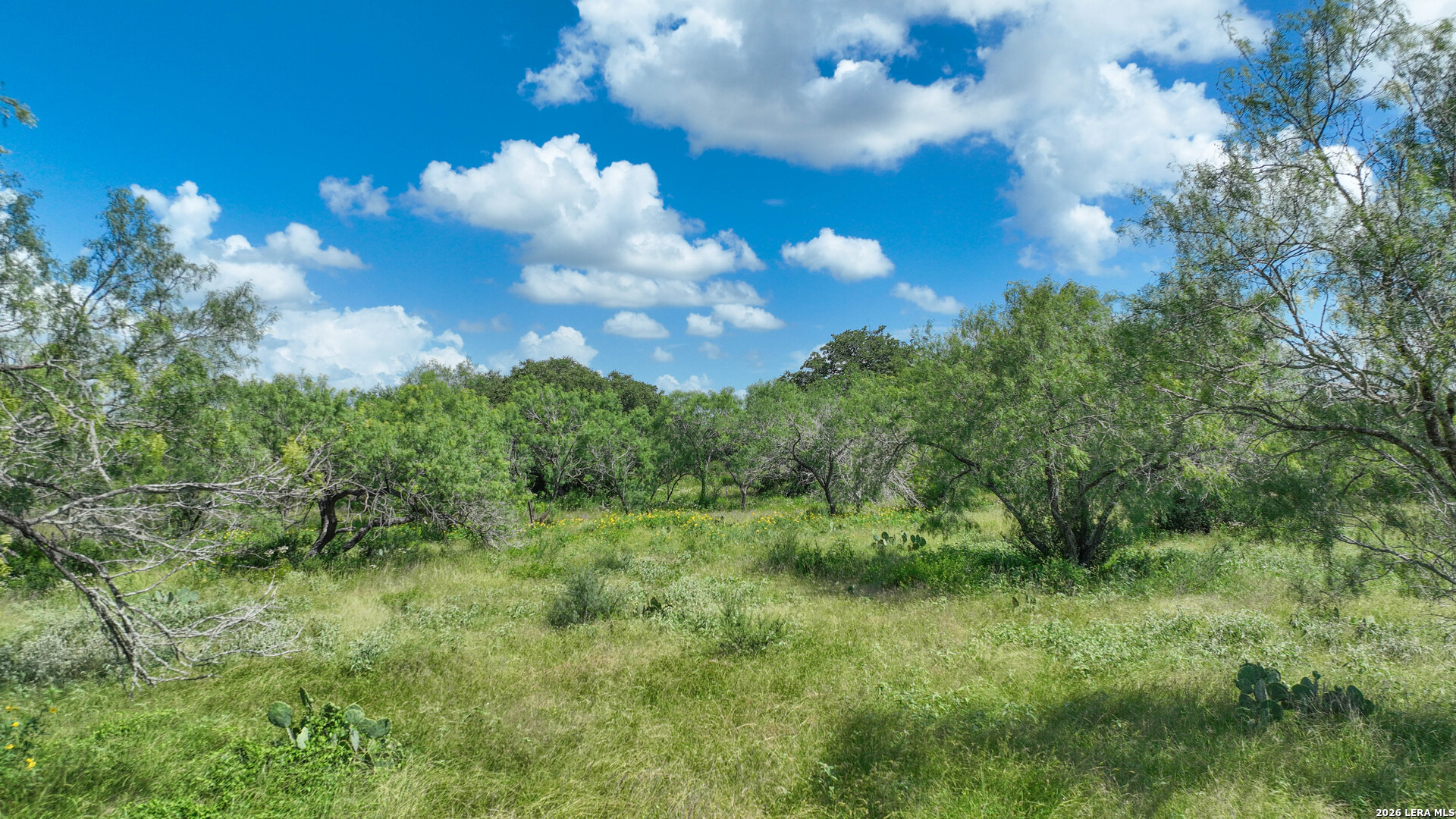 3128 Cr 307 Jourdanton TX 78026