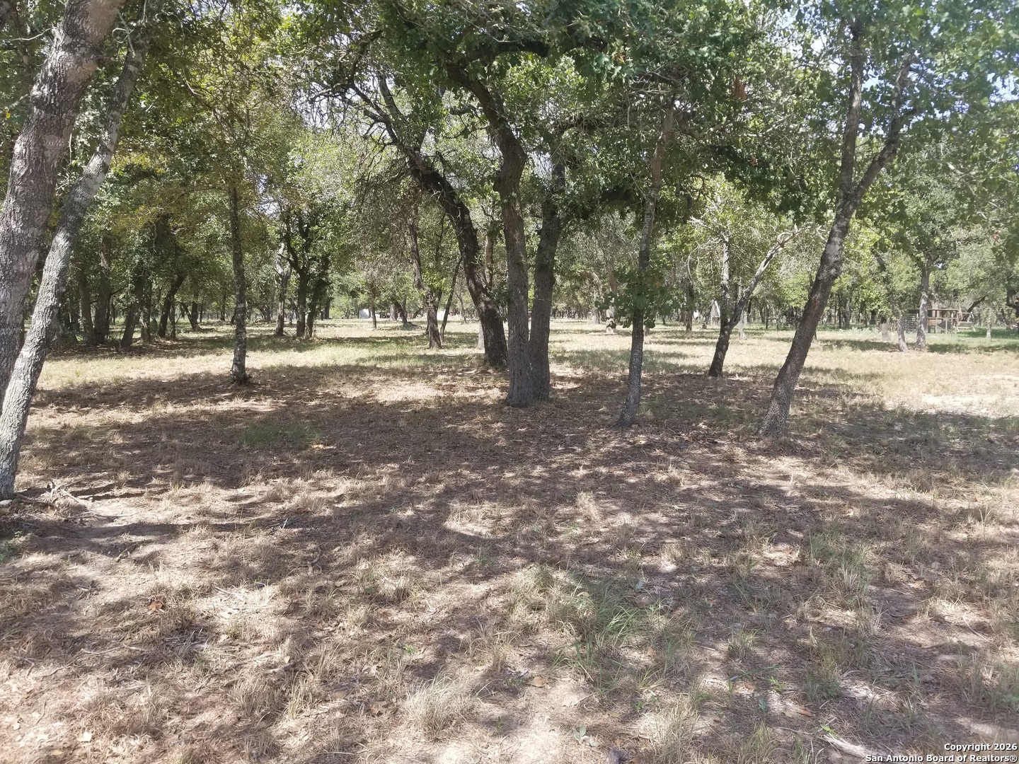 876 Evening Shade Adkins TX 78101