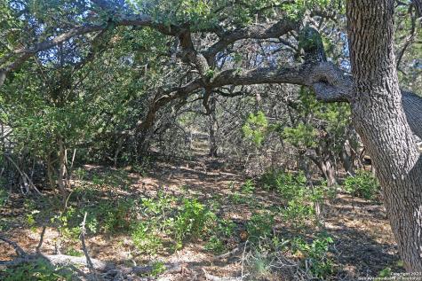 1118 Stagecoach Drive Canyon Lake TX 78133