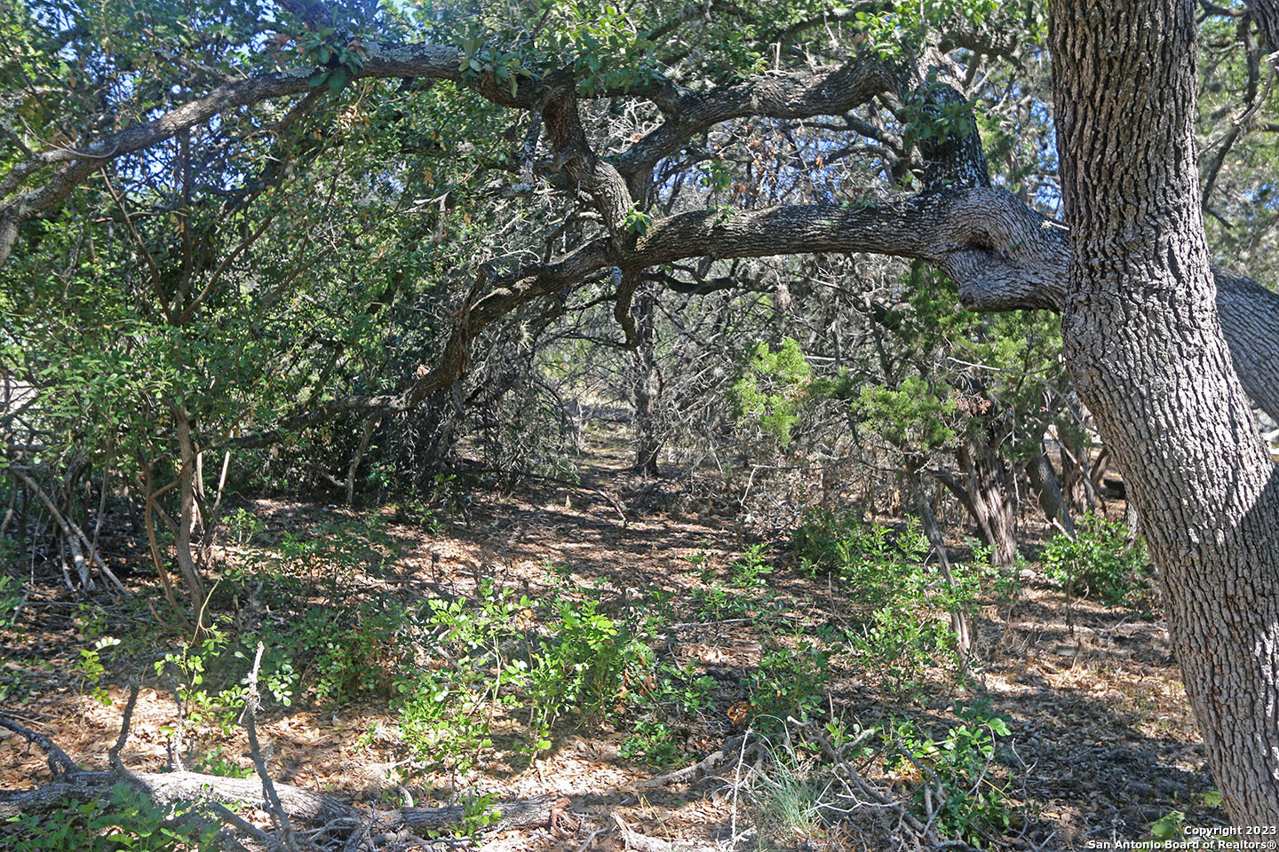 1118 Stagecoach Drive Canyon Lake TX 78133