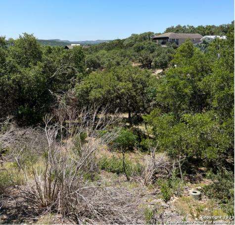 1118 Stagecoach Drive Canyon Lake TX 78133