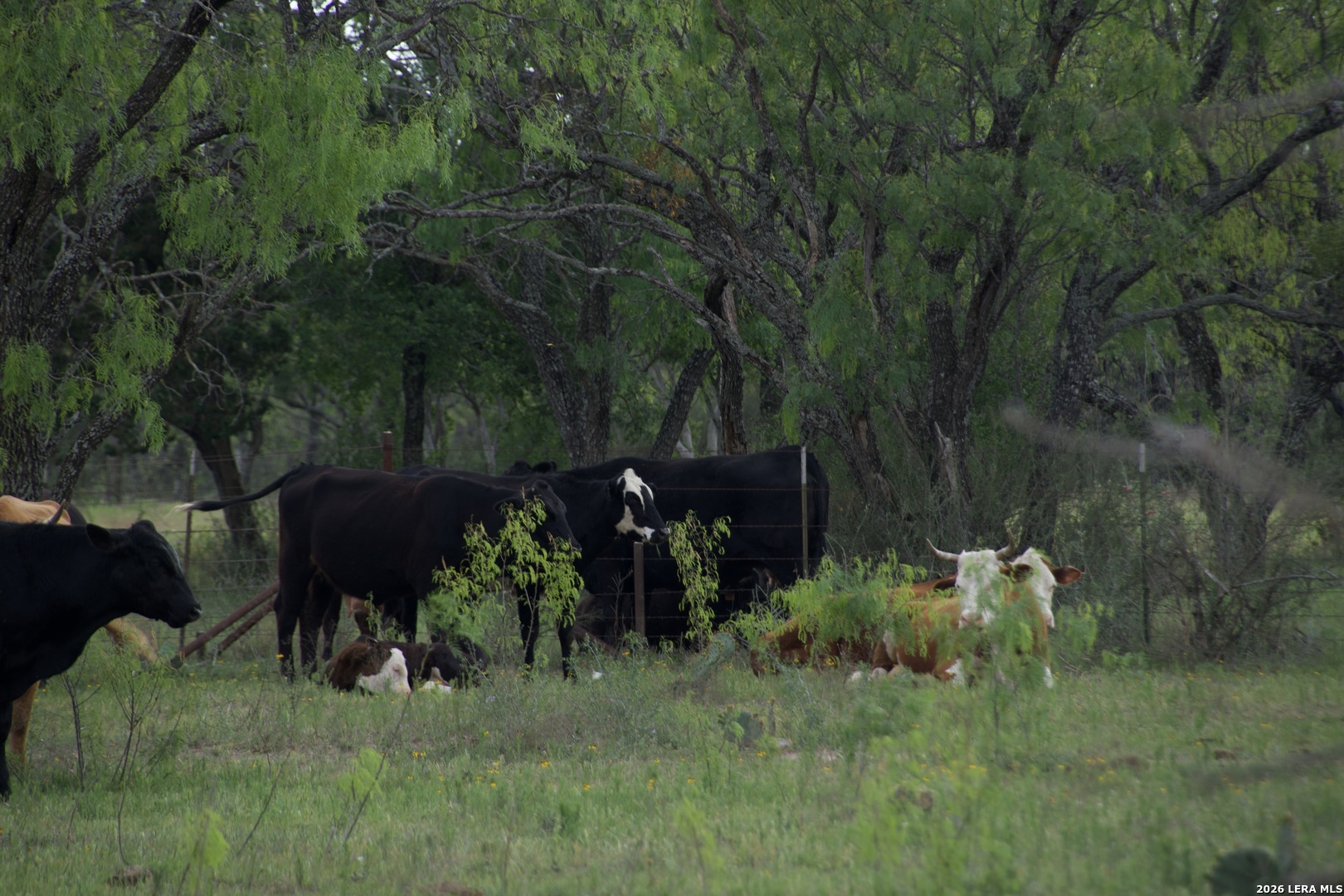 000 County Road 120 Marble Falls TX 78654