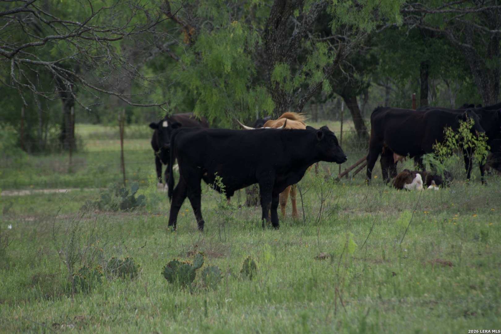 000 County Road 120 Marble Falls TX 78654