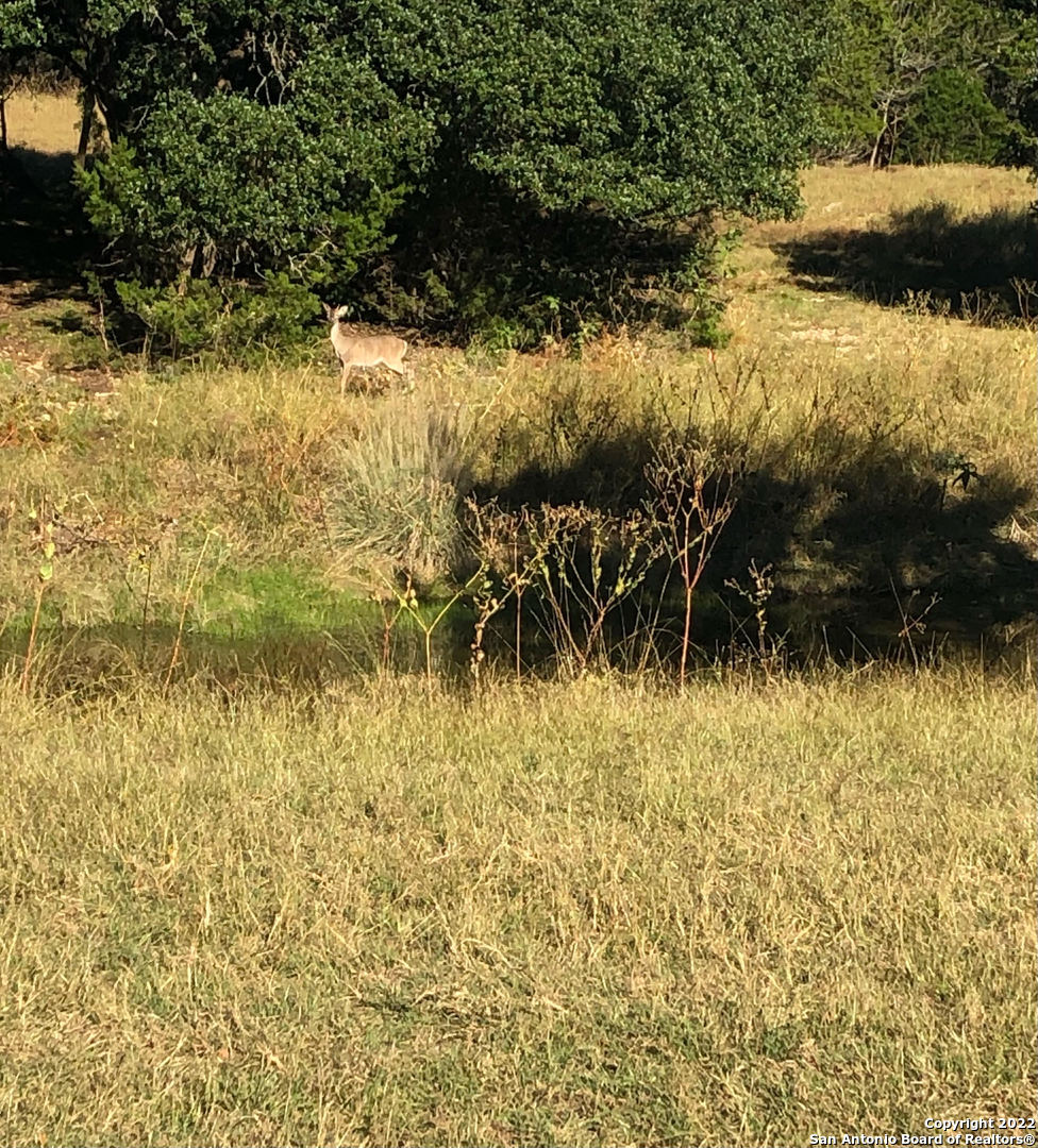 889 Long Meadow Spring Branch TX 78070