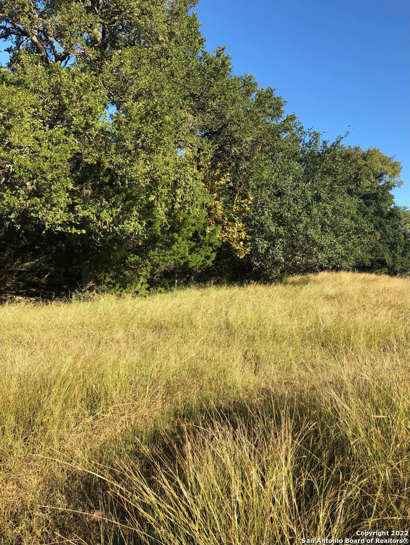 889 Long Meadow Spring Branch TX 78070