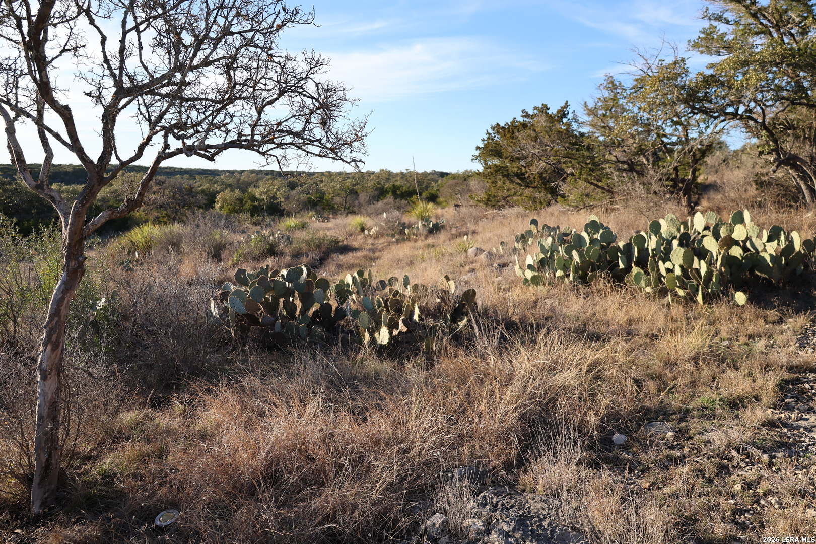 Tbd County Road 241 Hondo TX 78861