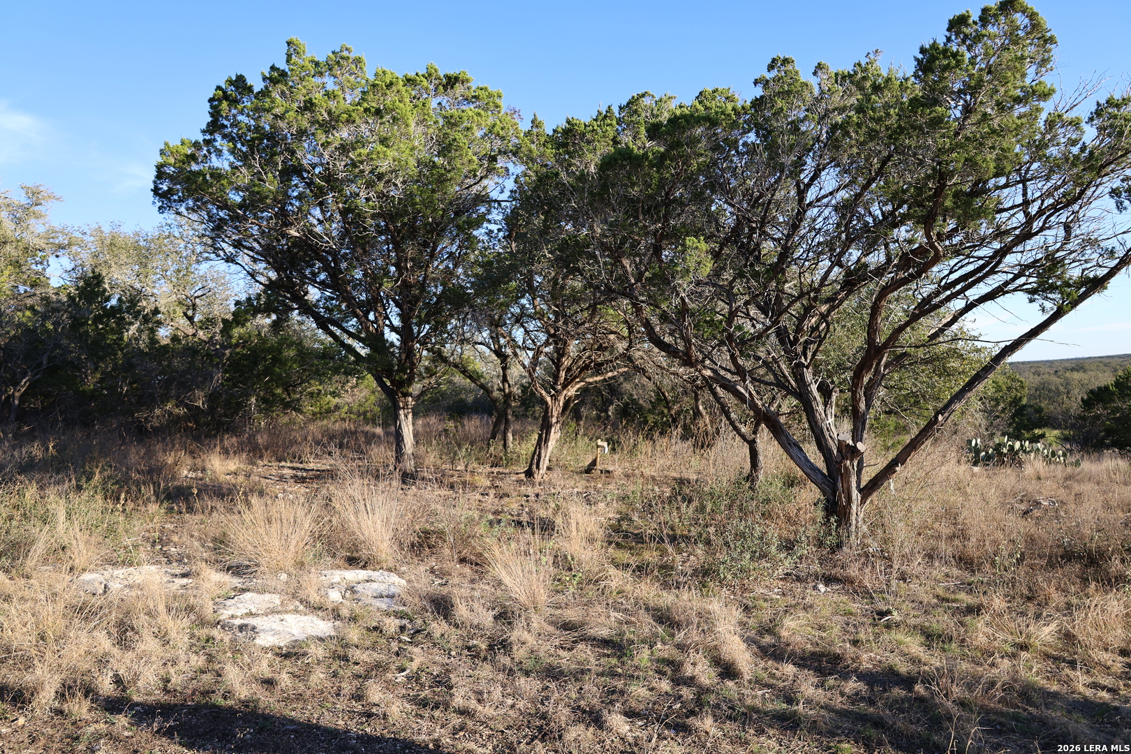 Tbd County Road 241 Hondo TX 78861