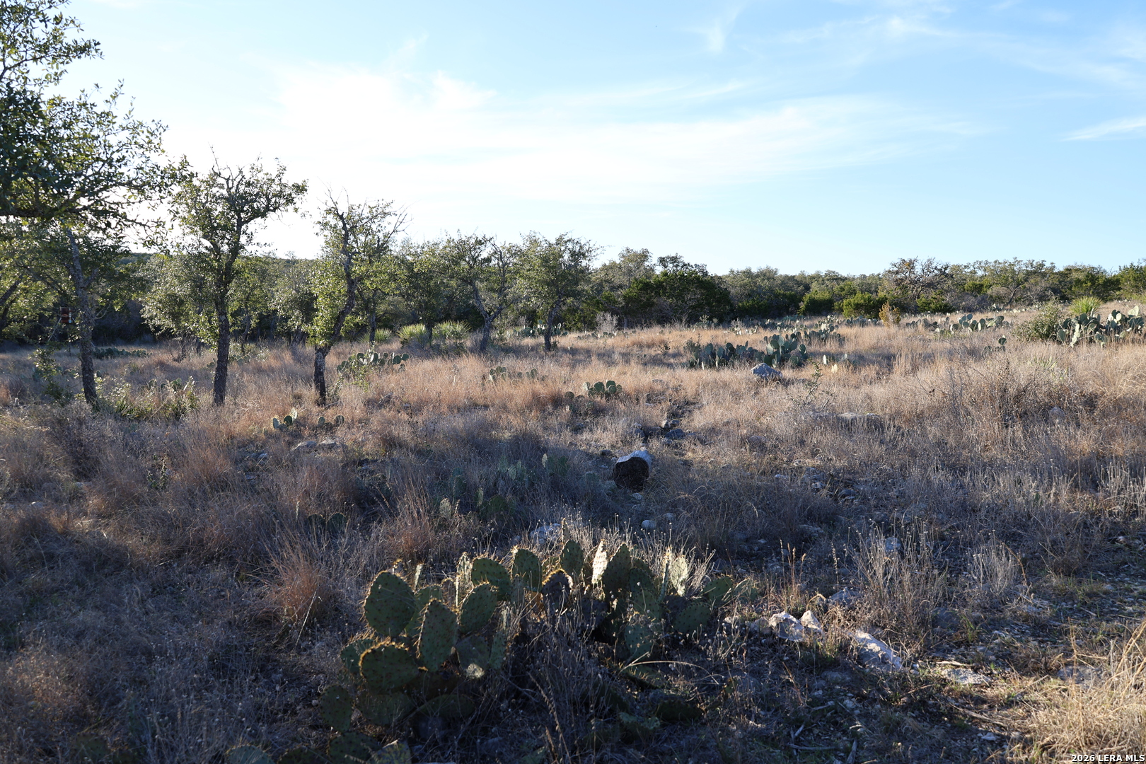 Tbd County Road 241 Hondo TX 78861