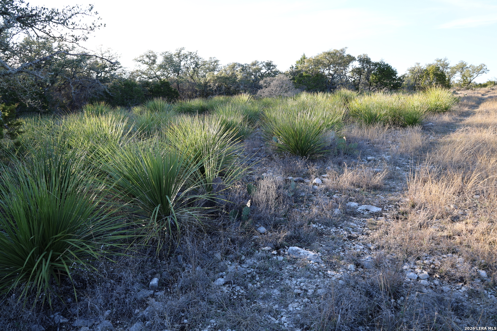 Tbd County Road 241 Hondo TX 78861