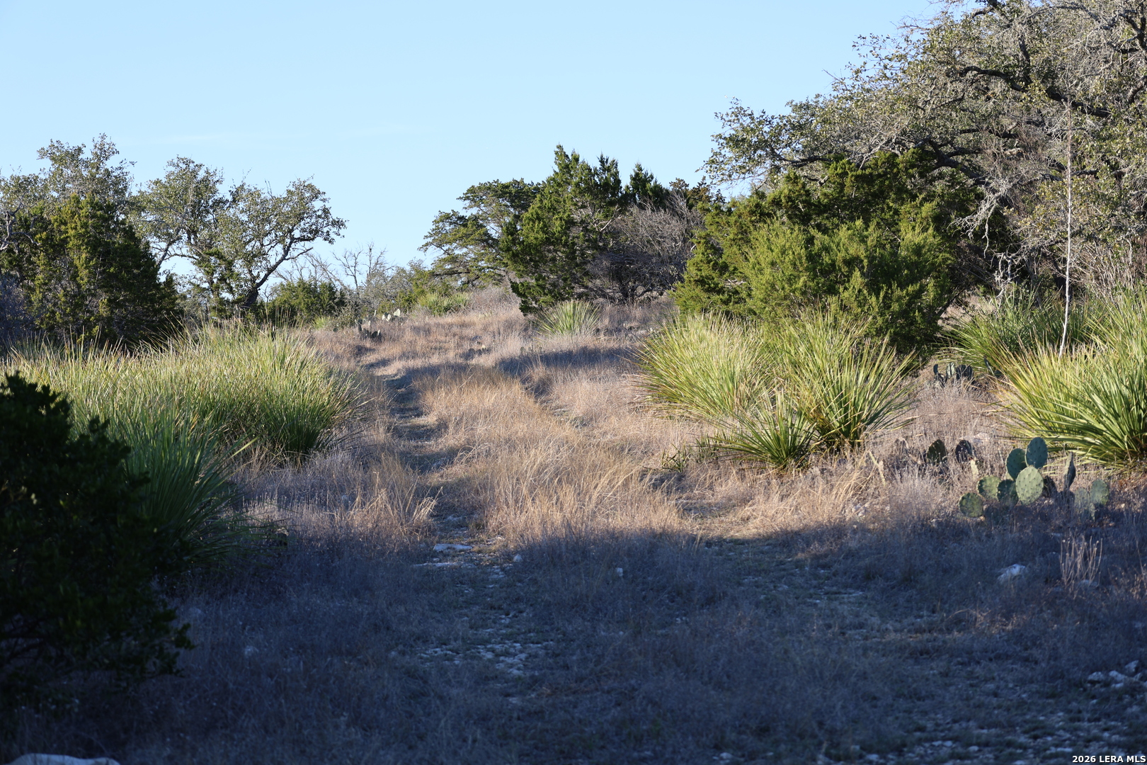 Tbd County Road 241 Hondo TX 78861