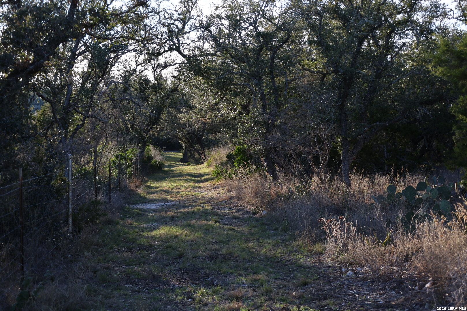 Tbd County Road 241 Hondo TX 78861