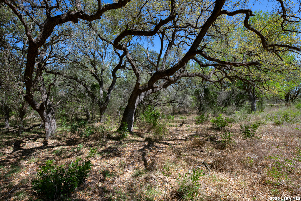 Tbd County Road 241 Hondo TX 78861