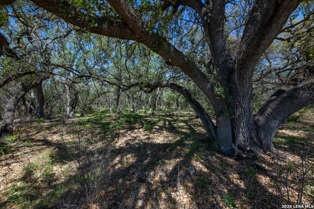 Tbd County Road 241 Hondo TX 78861