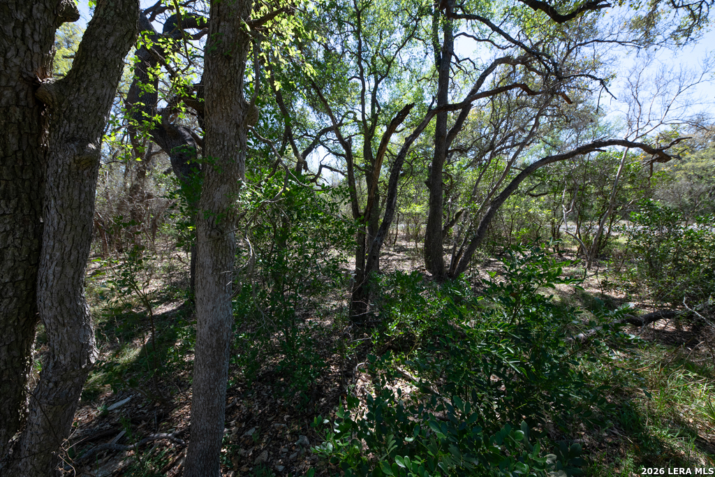 Tbd County Road 241 Hondo TX 78861
