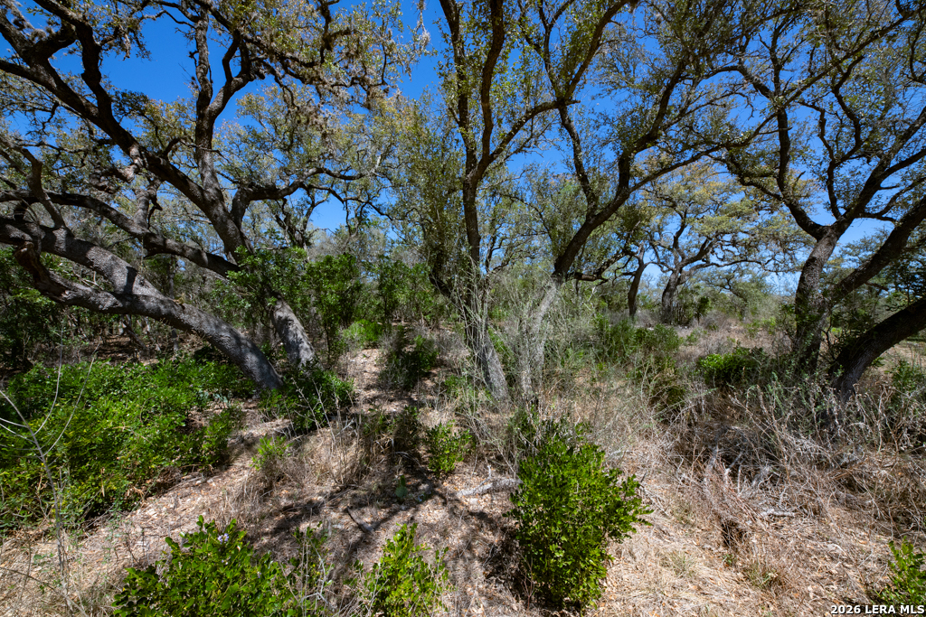 Tbd County Road 241 Hondo TX 78861