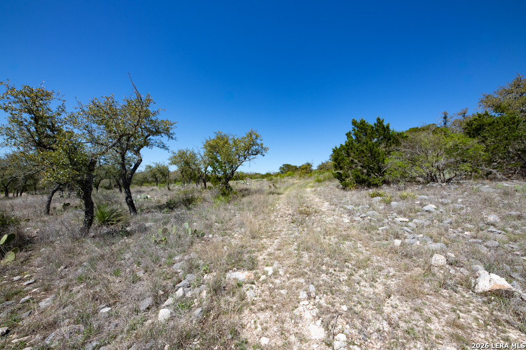 Tbd County Road 241 Hondo TX 78861