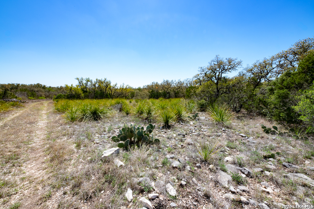 Tbd County Road 241 Hondo TX 78861