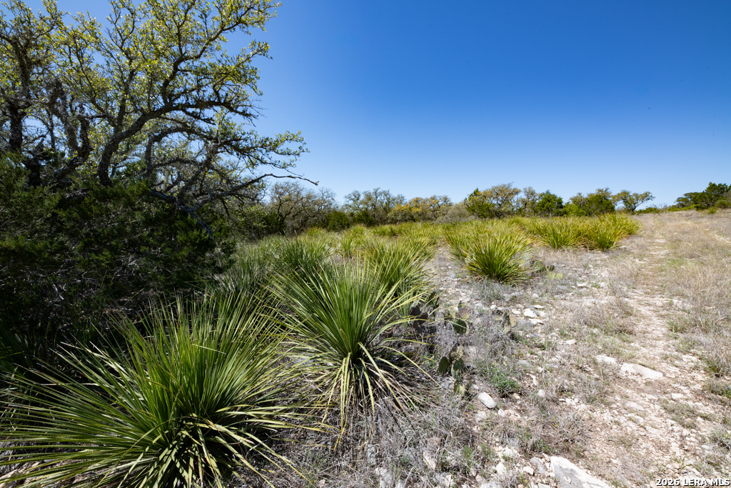 Tbd County Road 241 Hondo TX 78861