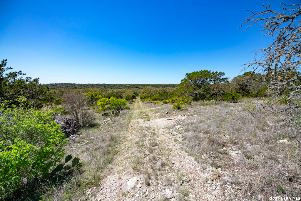 Tbd County Road 241 Hondo TX 78861