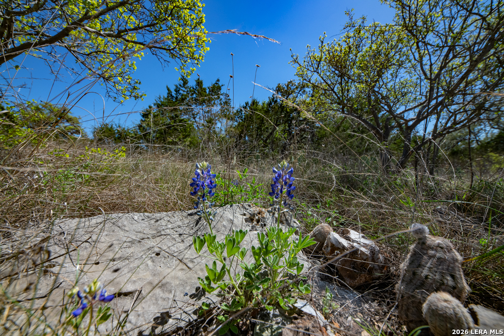 Tbd County Road 241 Hondo TX 78861