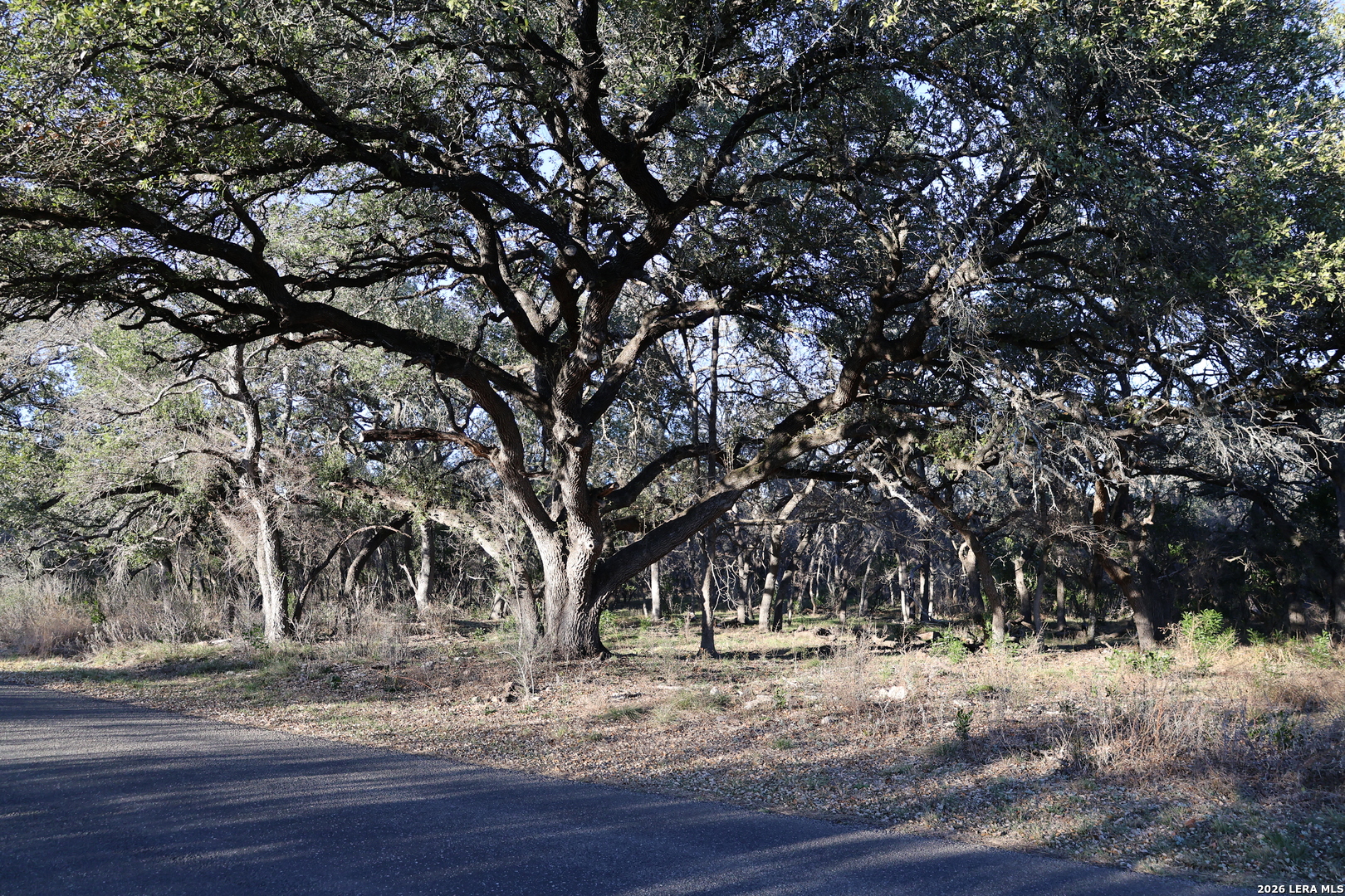 Tbd County Road 241 Hondo TX 78861
