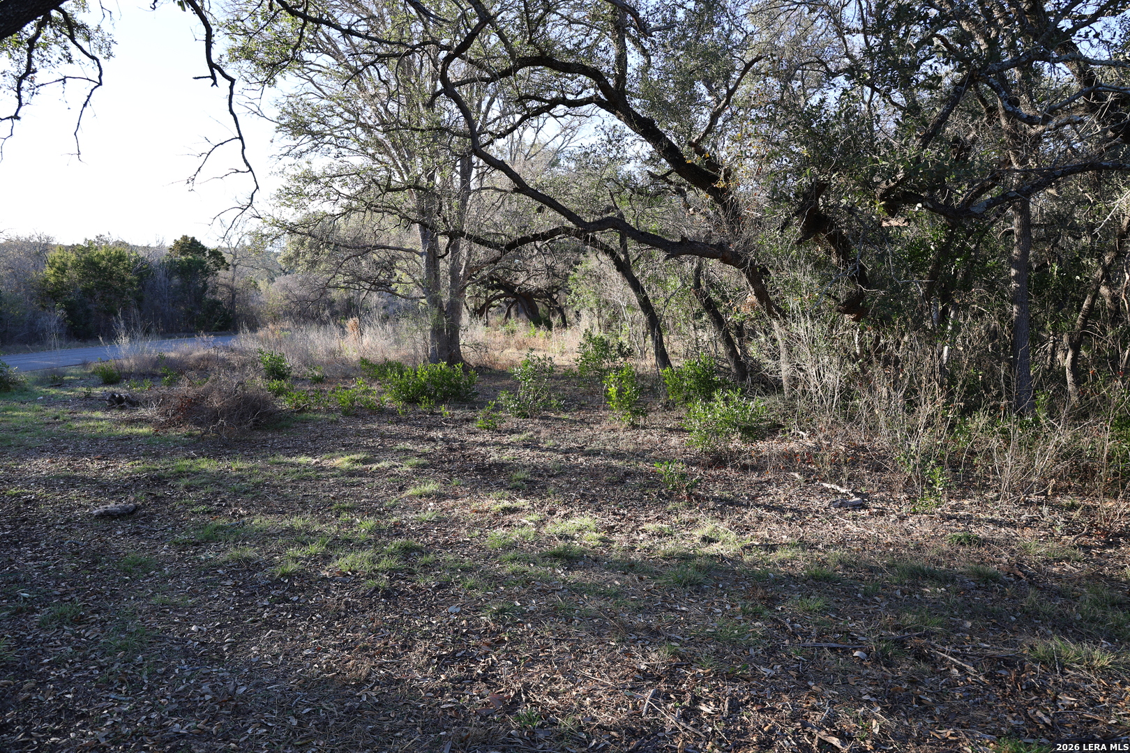 Tbd County Road 241 Hondo TX 78861