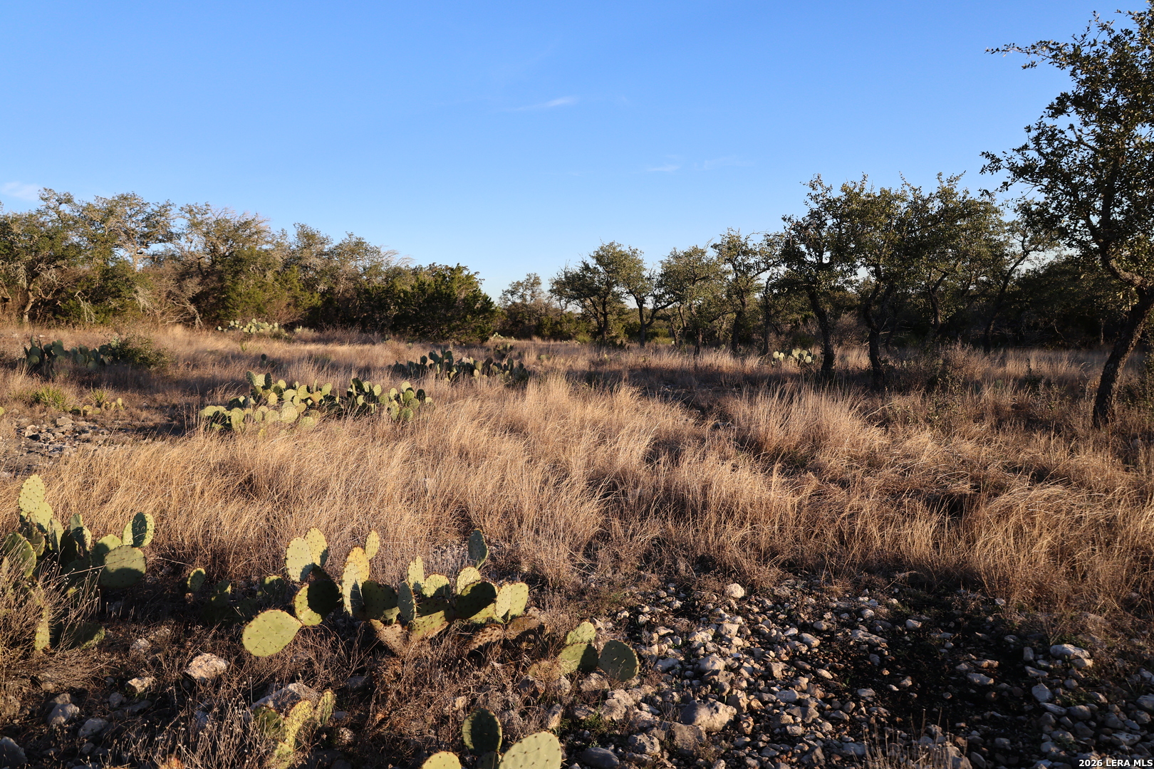 Tbd County Road 241 Hondo TX 78861