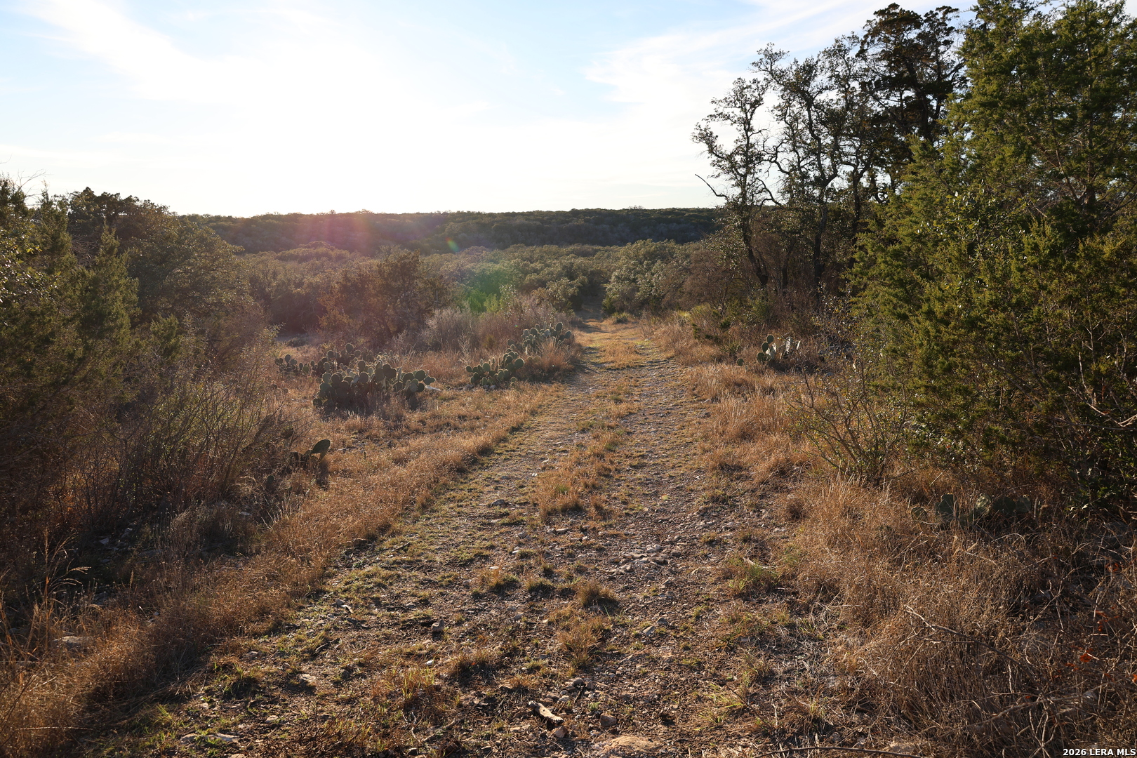 Tbd County Road 241 Hondo TX 78861