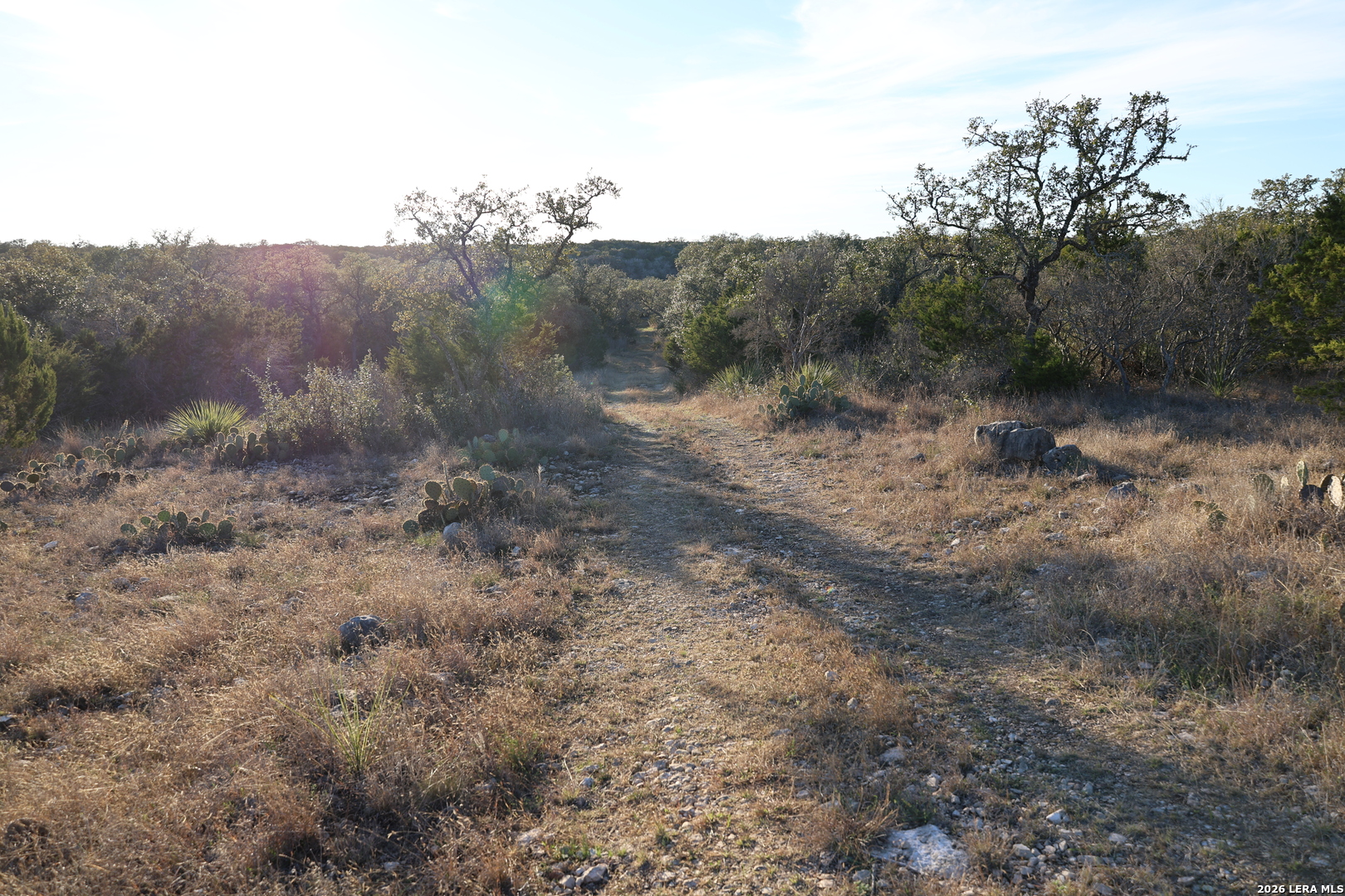 Tbd County Road 241 Hondo TX 78861