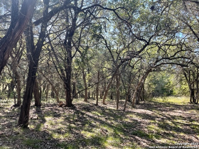 420 Spring Street Spring Branch TX 78070