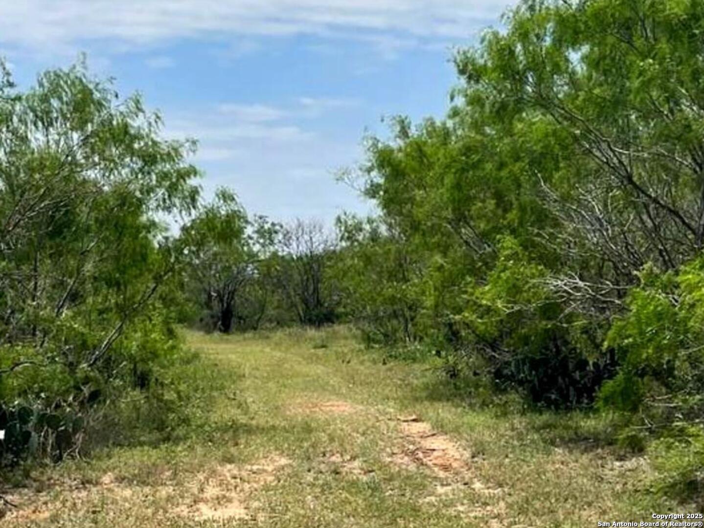 0000 Cr 327 Lot 8 Jourdanton TX 78026