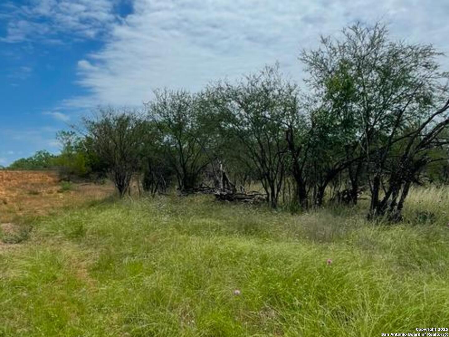 0000 Cr 327 Lot 8 Jourdanton TX 78026
