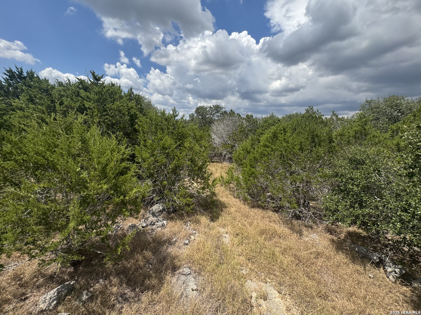 168 Brushy Road Spring Branch TX 78070