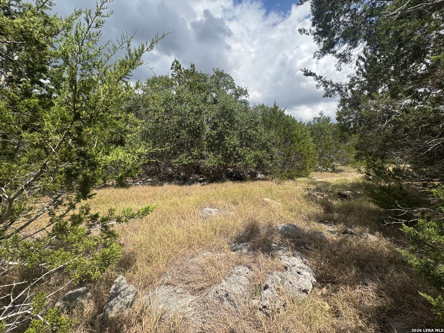 168 Brushy Road Spring Branch TX 78070