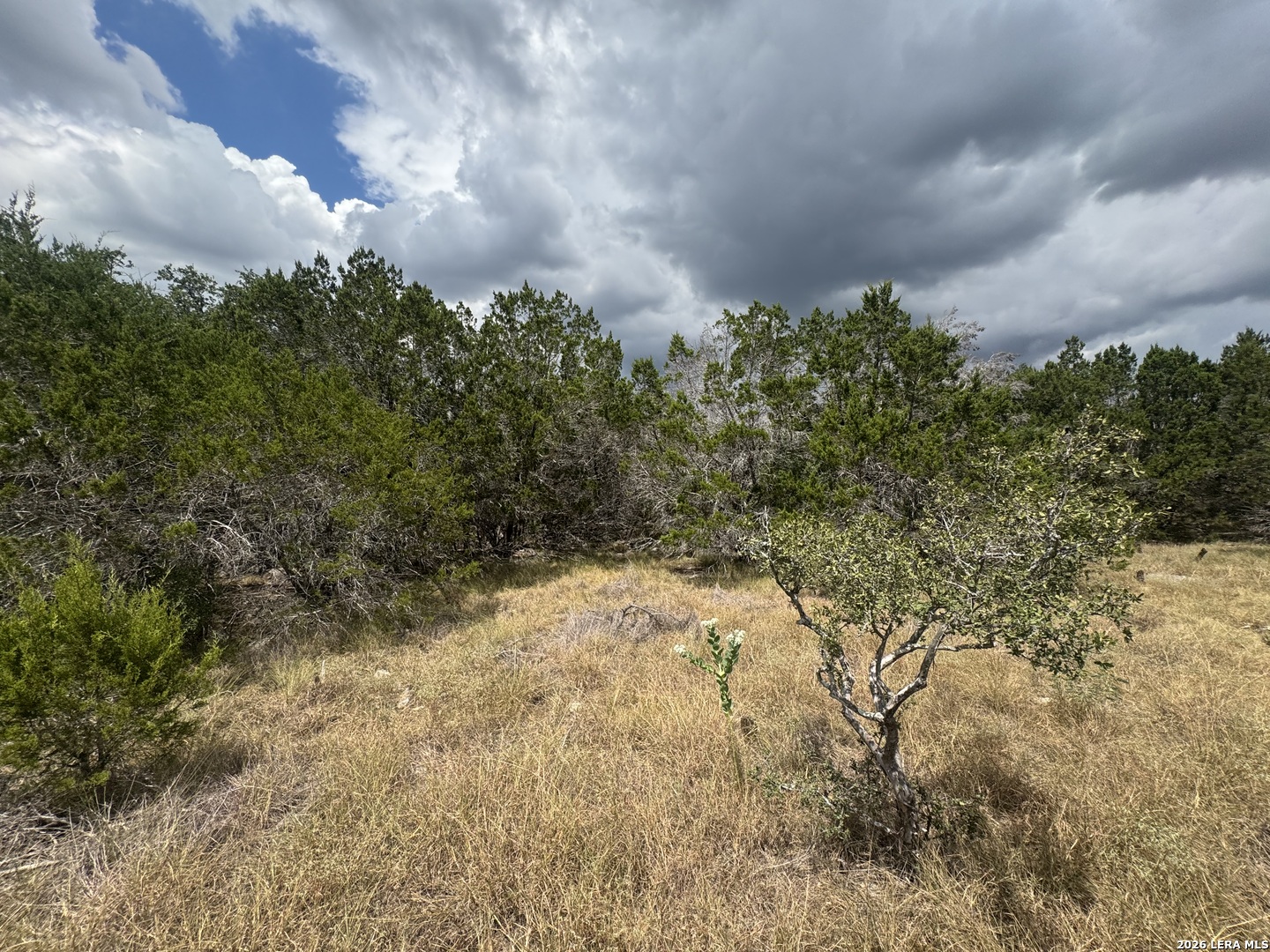 168 Brushy Road Spring Branch TX 78070