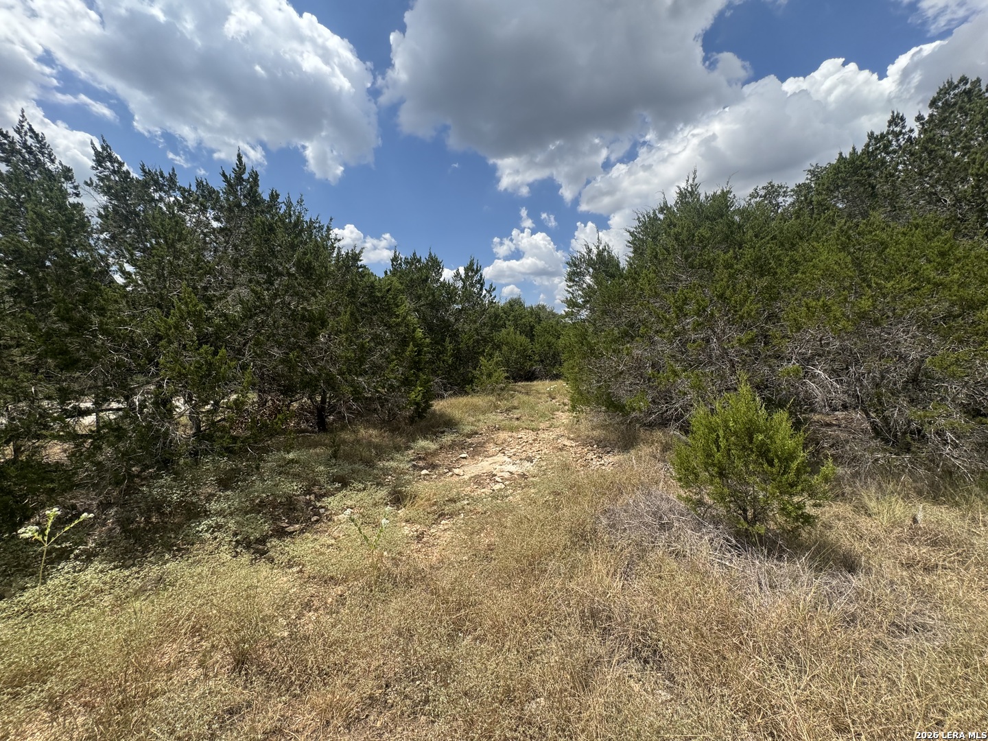 168 Brushy Road Spring Branch TX 78070