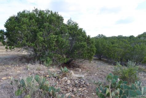 Tbd Little Sorrel Way Bandera TX 78003