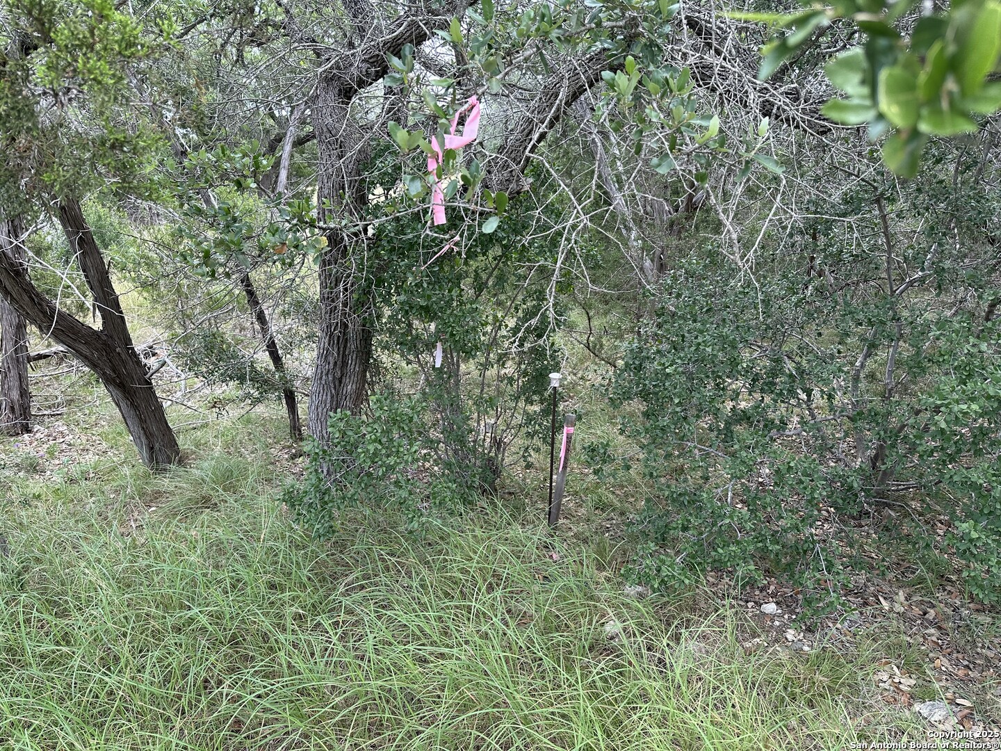571 Rayner Ranch Spring Branch TX 78070
