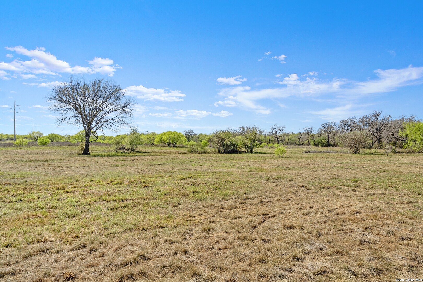 0 Fox Trotter Road Seguin TX 78155