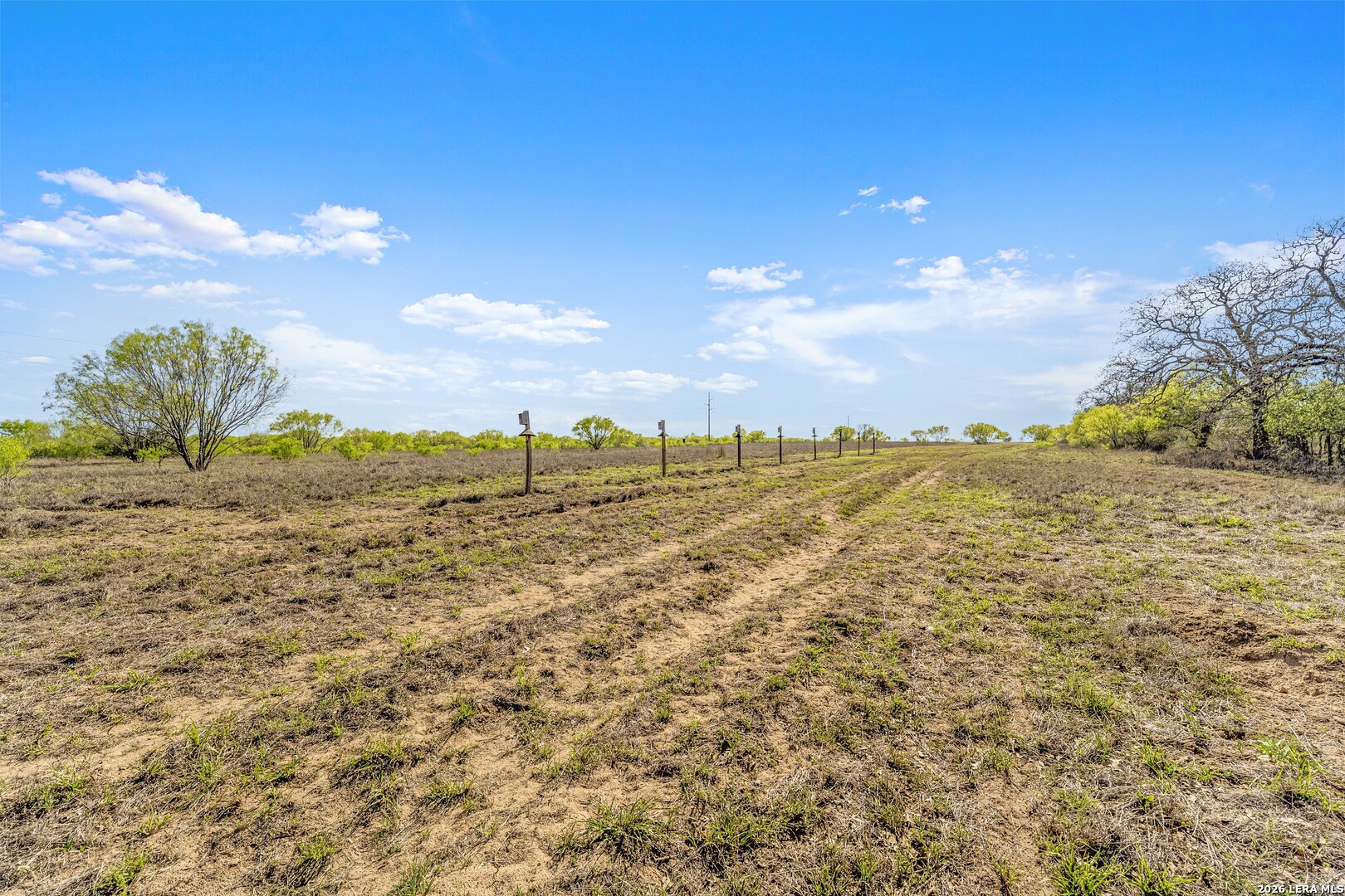 0 Fox Trotter Road Seguin TX 78155