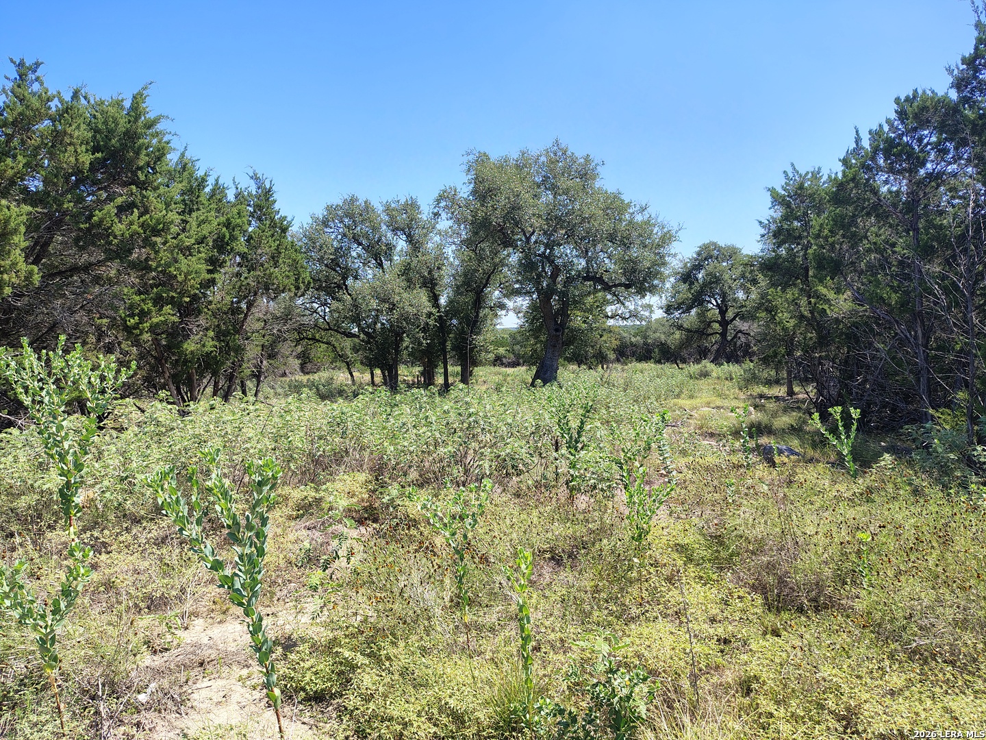 32 Sotol Lane Boerne TX 78006