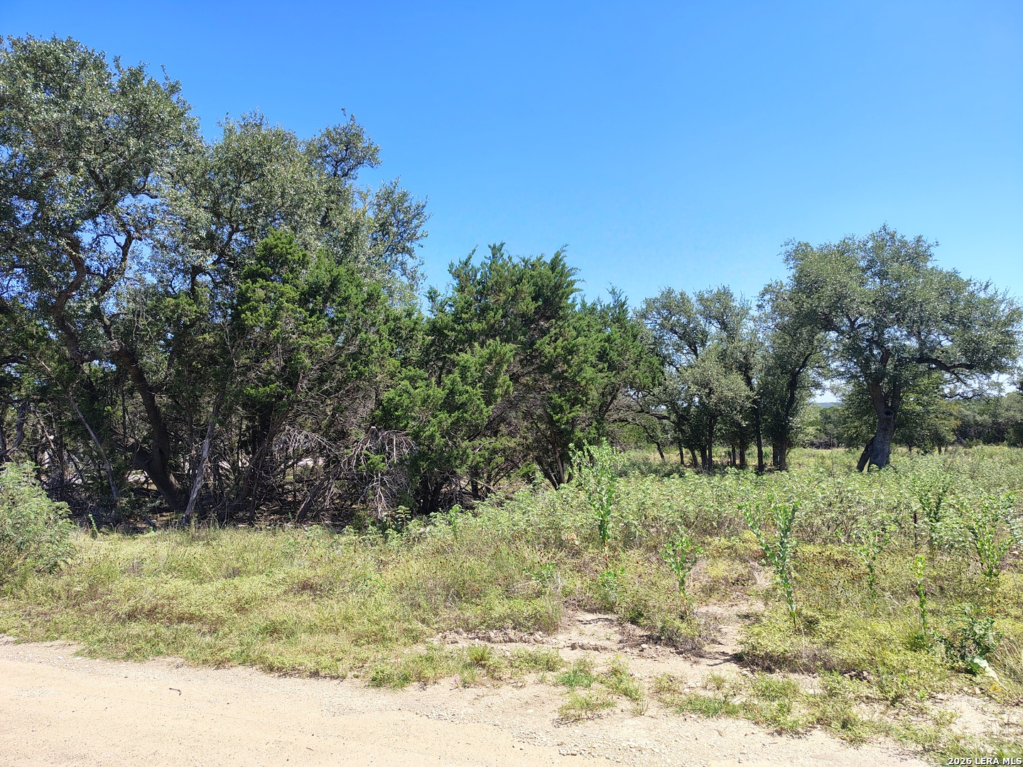 32 Sotol Lane Boerne TX 78006