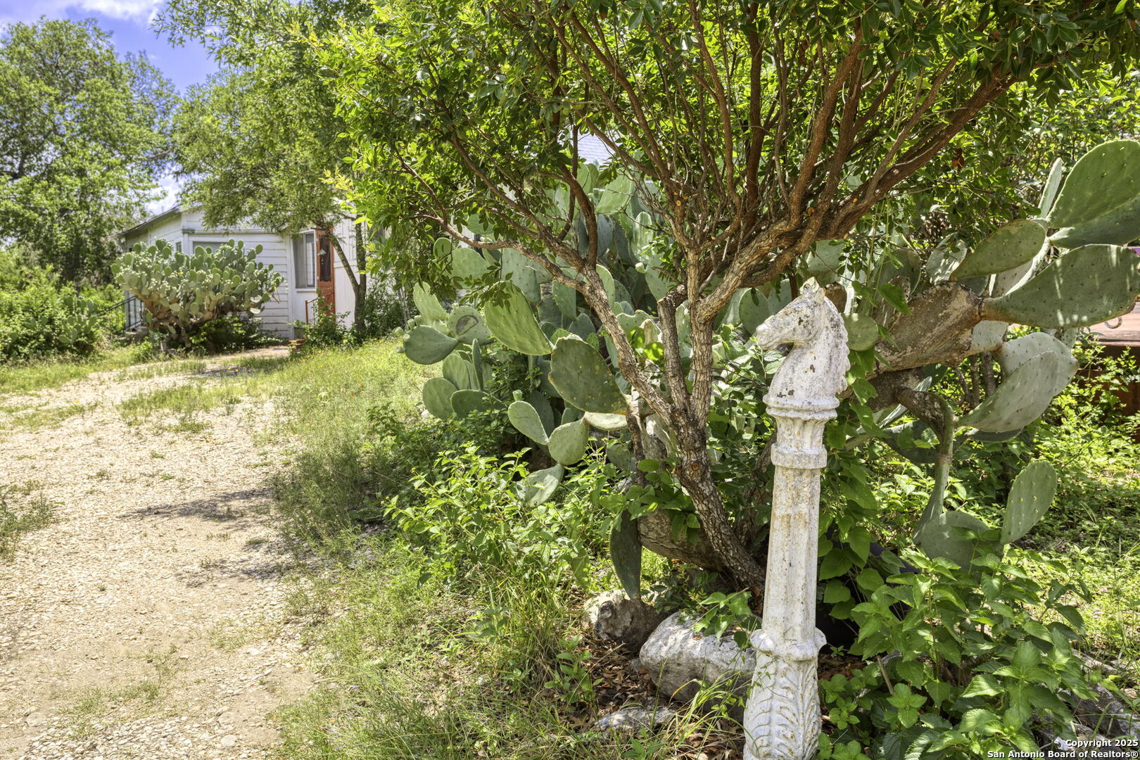 2422 Hillcrest Drive San Antonio TX 78228